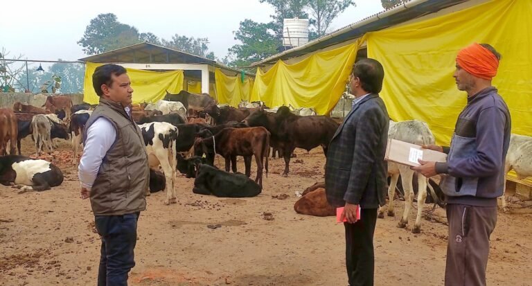 निराश्रित गोवंश के संरक्षण को लेकर किया नोडल अधिकारी ने दौरा