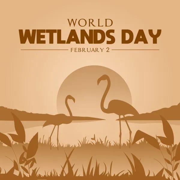 वर्ल्ड वेटलैंड्स डे पर 2 फ़रवरी को जागरूकता कार्यक्रम आयोजित
